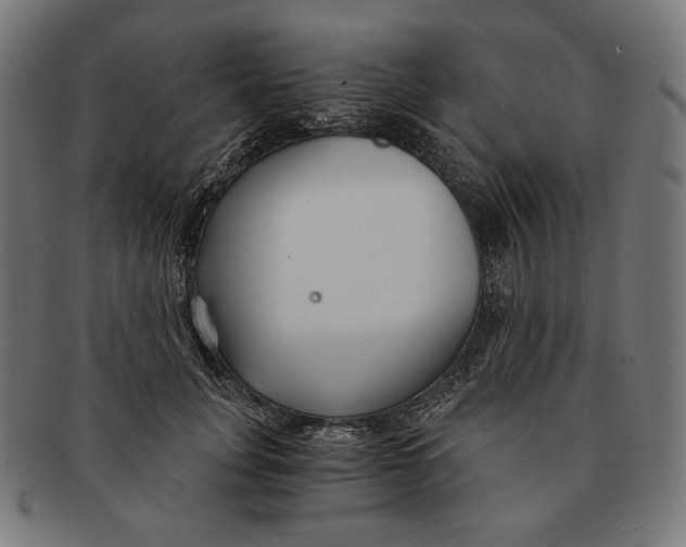 X0000091180751200709060954
