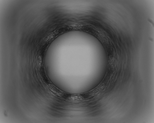 X0000091180752200709060954