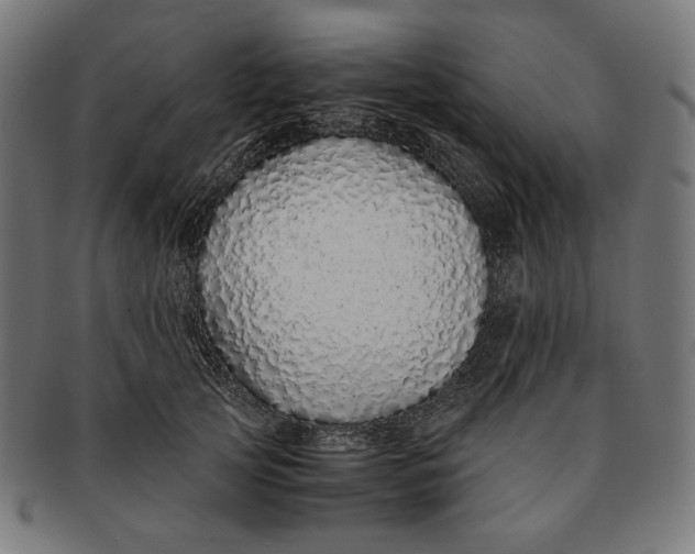 X0000091180753200709060954