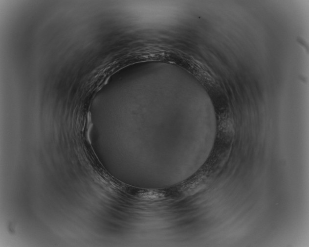 X0000091180754200709060954