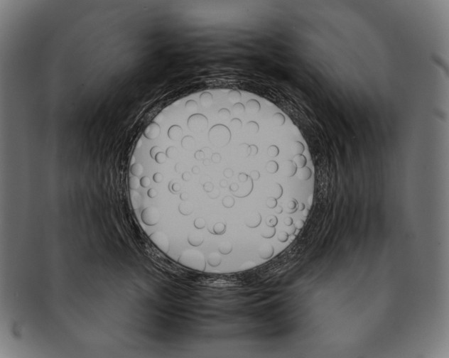 X0000091180755200709060954