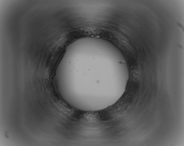 X0000091180756200709060954