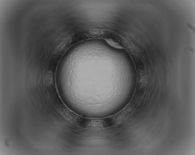 X0000091180758200709060954