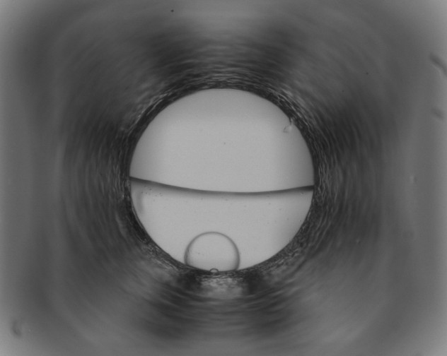 X0000091180759200709060954