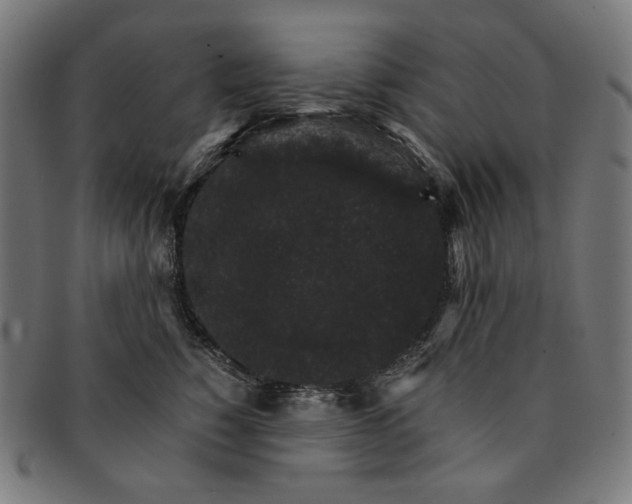 X0000091180760200709060954
