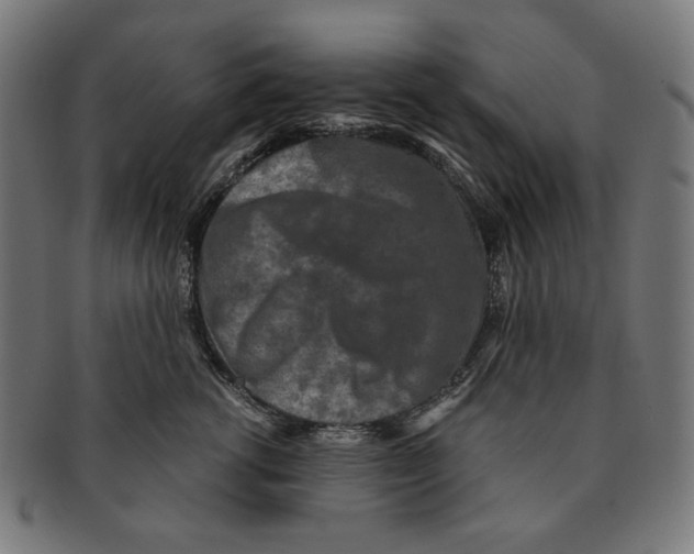 X0000091180762200709060954