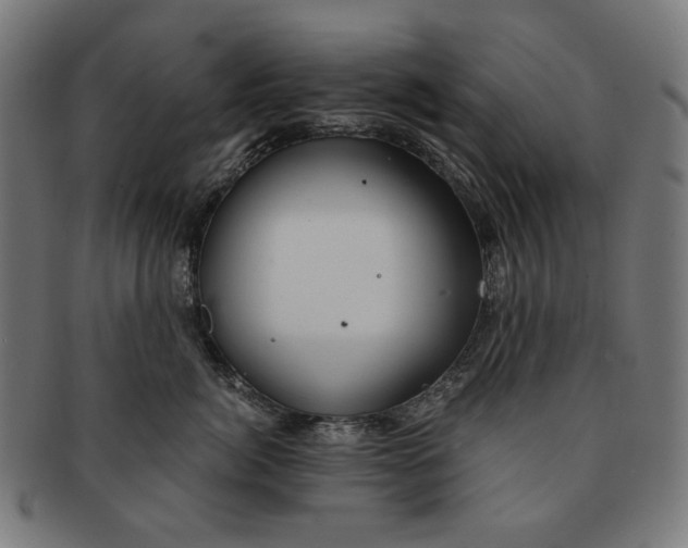 X0000091180764200709060954