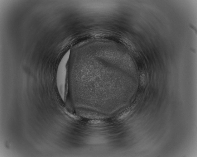 X0000091180766200709060954
