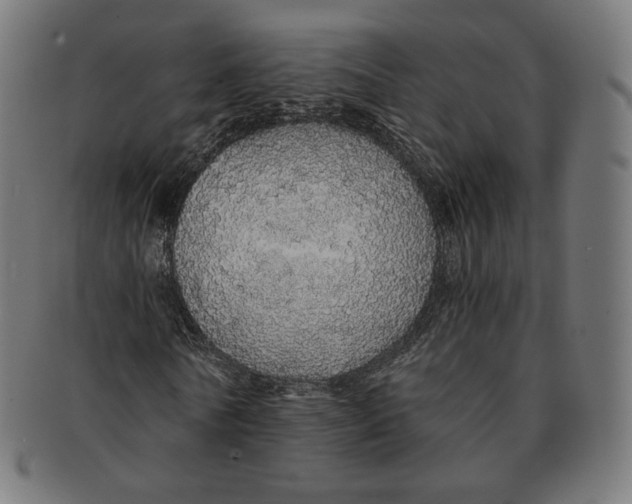 X0000091180770200709060953