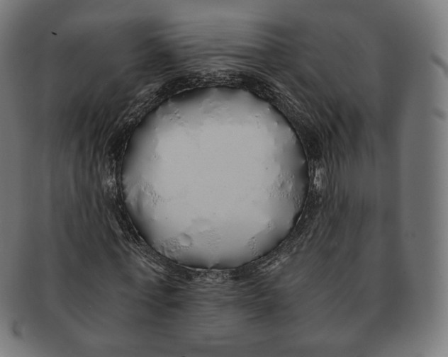X0000091180771200709060953