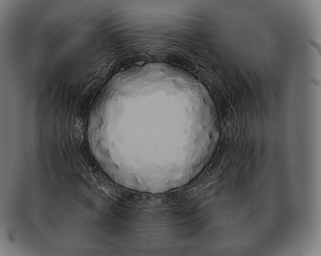 X0000091180772200709060953
