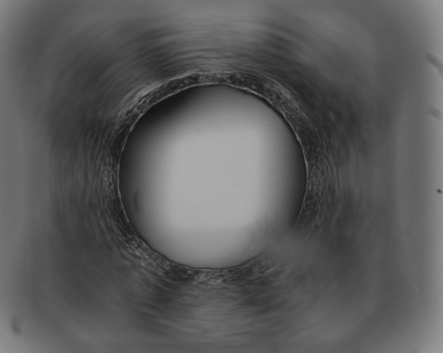 X0000091180773200709060953