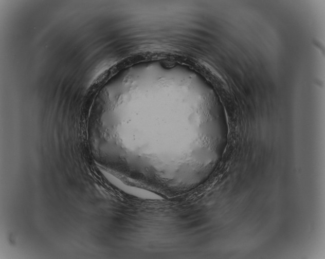 X0000091180775200709060953