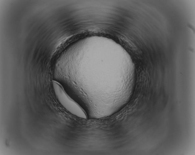 X0000091180776200709060953