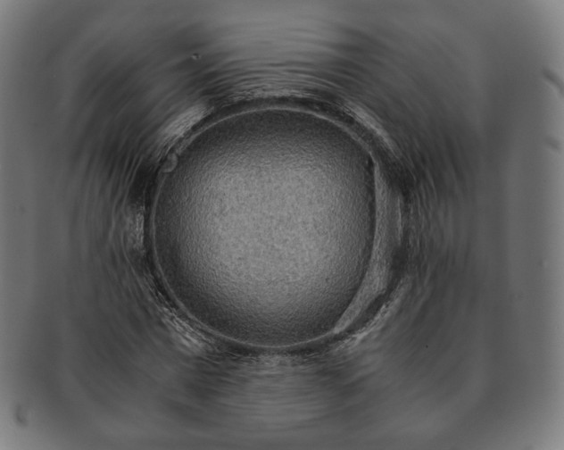 X0000091180777200709060953