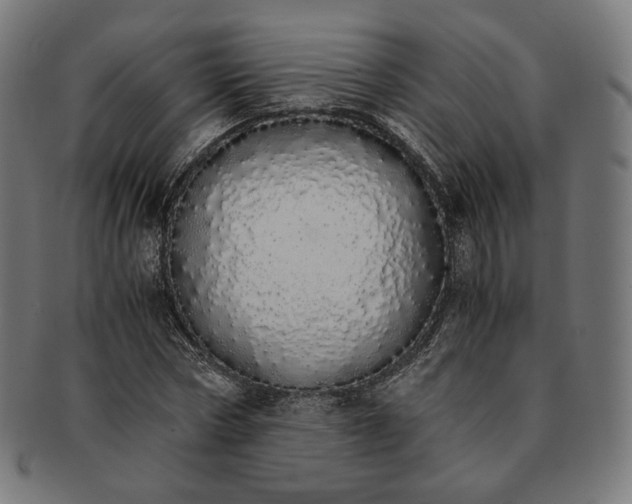 X0000091180778200709060953