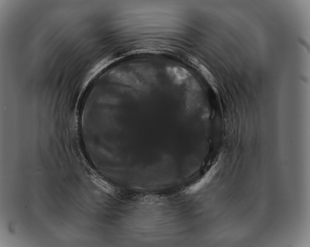 X0000091180779200709060953