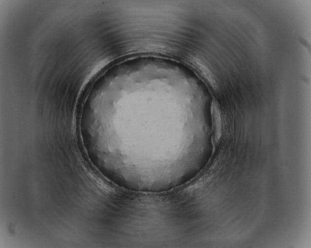 X0000091180780200709060953