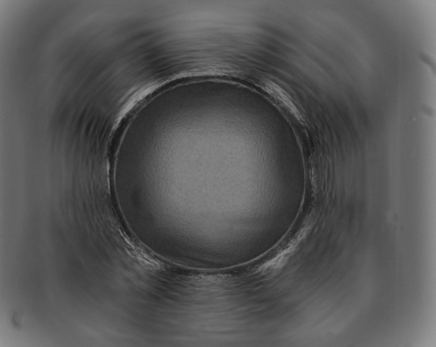 X0000091180781200709060953