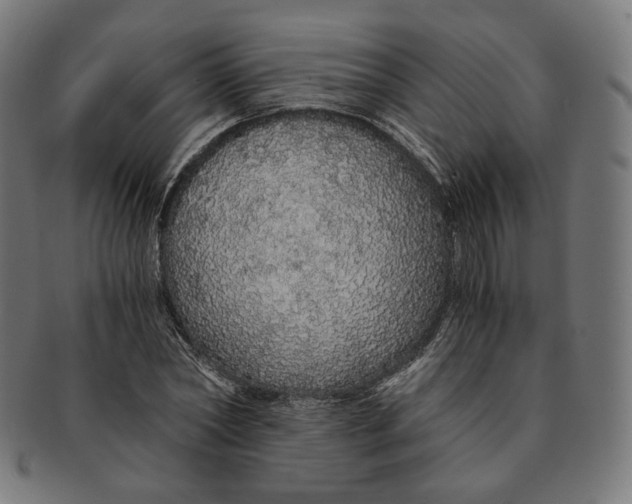 X0000091180782200709060953