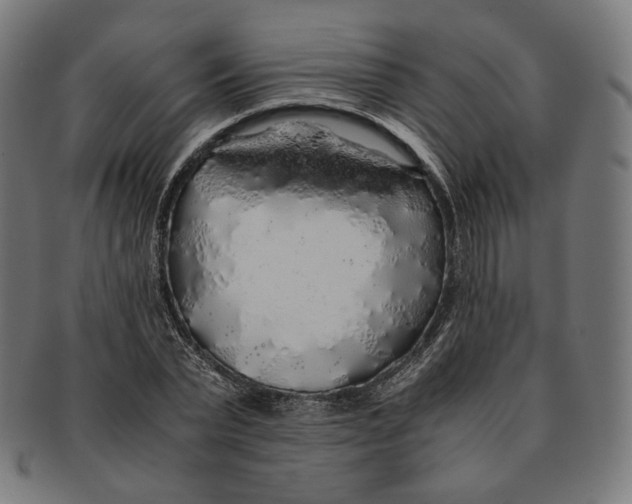 X0000091180783200709060953