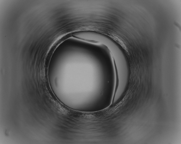 X0000091180784200709060953