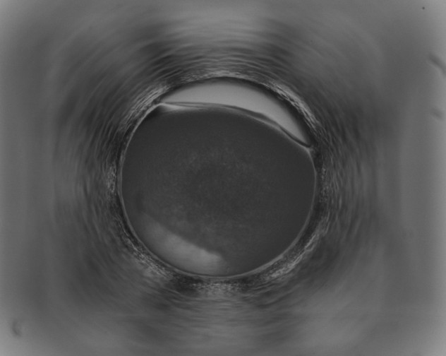 X0000091180785200709060953