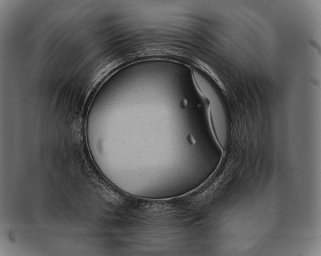 X0000091180786200709060953