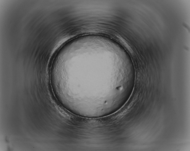 X0000091180787200709060953
