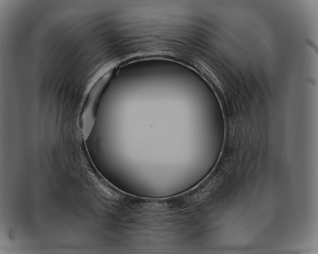 X0000091180789200709060953