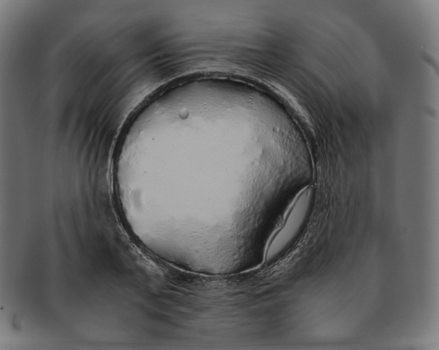 X0000091180791200709060953