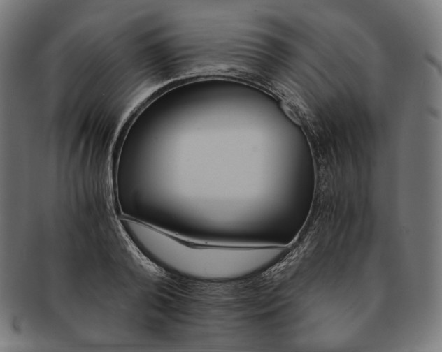 X0000091180792200709060953