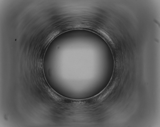 X0000091180793200709060953