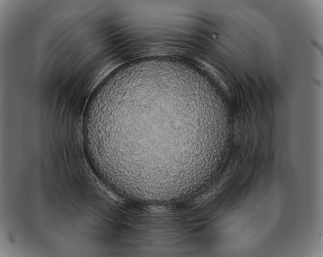 X0000091180794200709060953