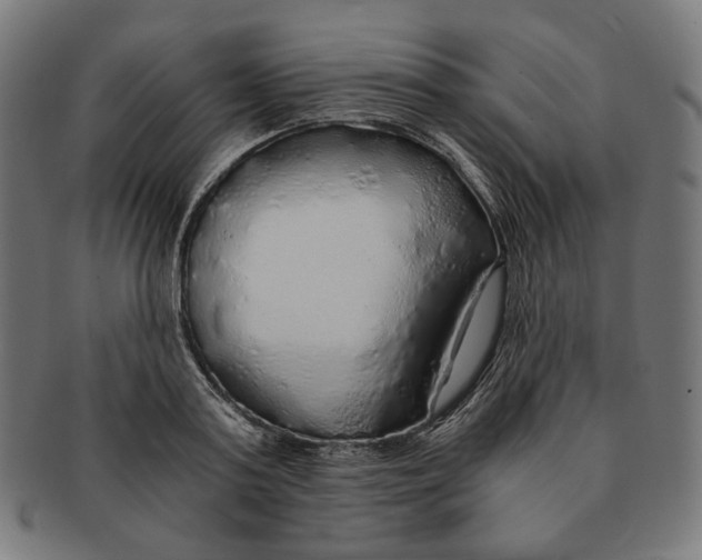 X0000091180795200709060953