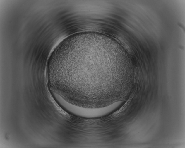 X0000091180796200709060953