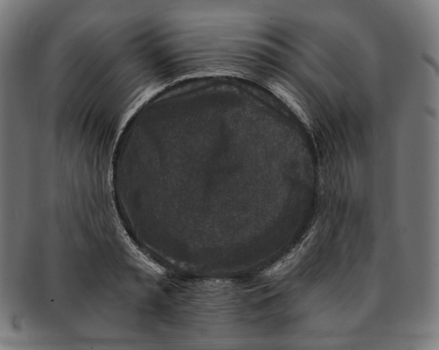 X0000091180797200709060953