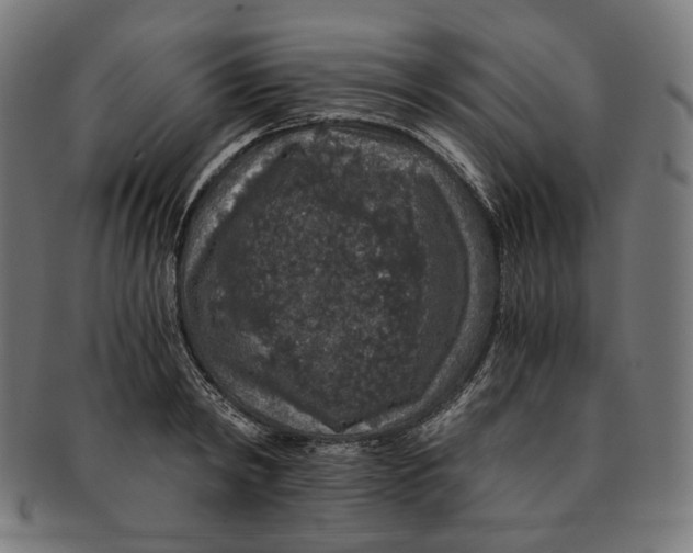 X0000091180798200709060953
