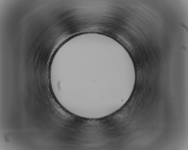 X0000091180800200709060953
