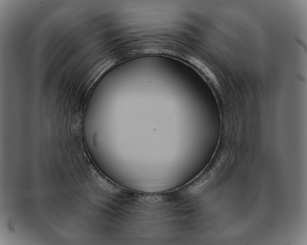 X0000091180801200709060953