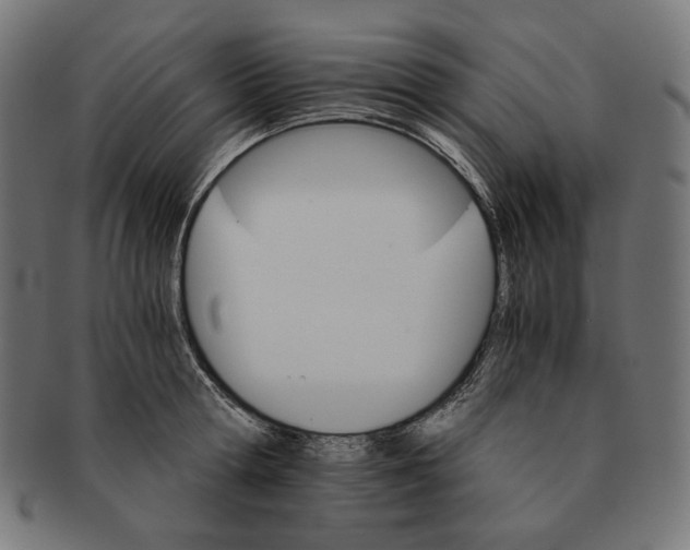 X0000091180802200709060953