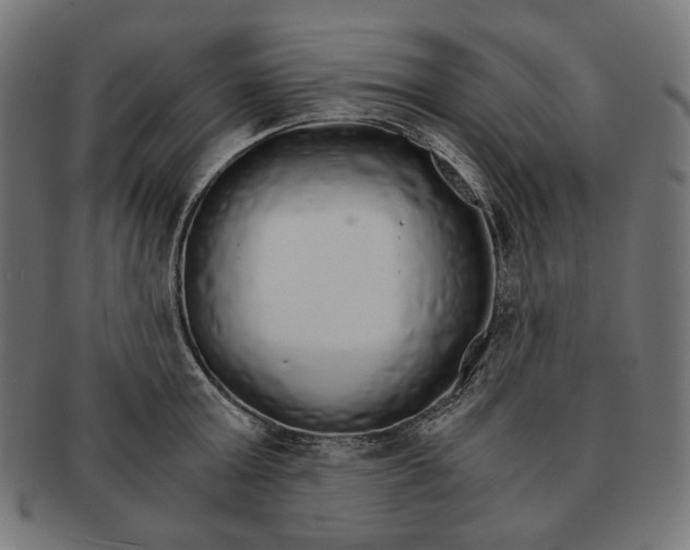 X0000091180803200709060952