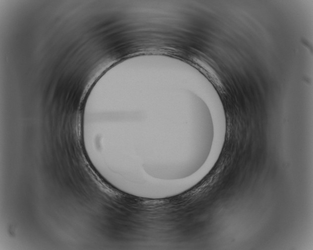 X0000091180804200709060952