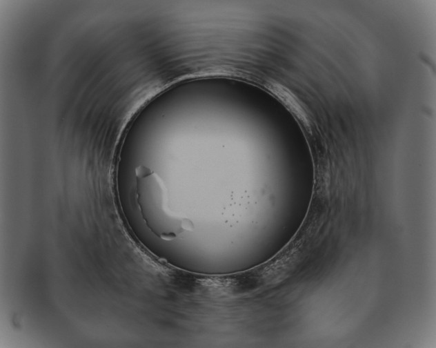 X0000091180805200709060952