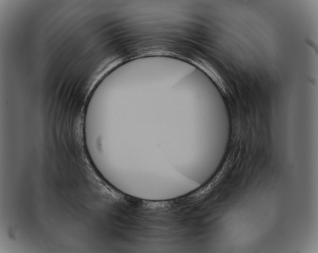 X0000091180806200709060952