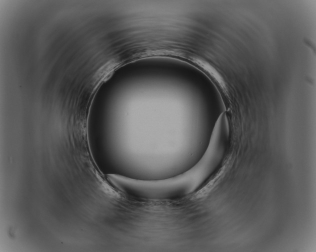 X0000091180809200709060952