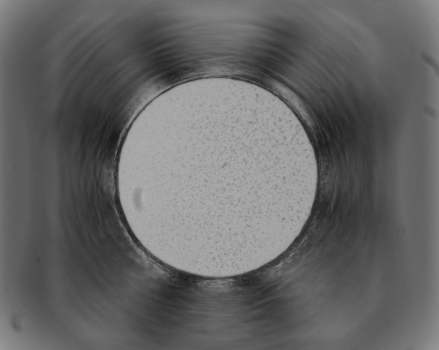 X0000091180810200709060952