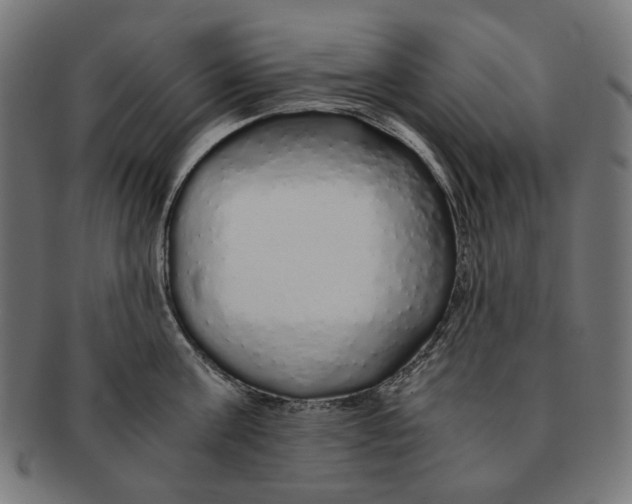 X0000091180811200709060952