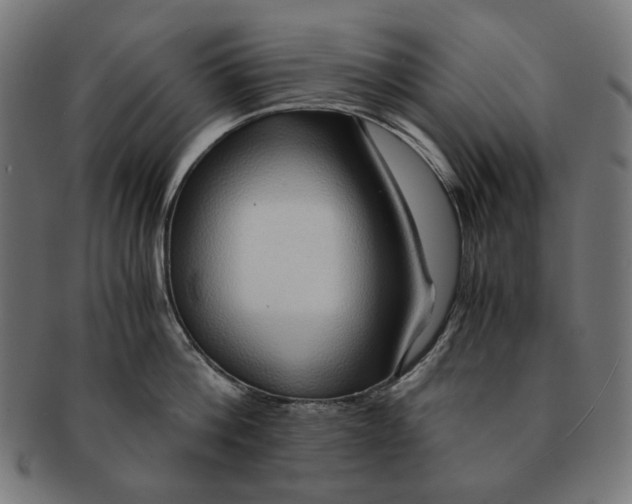 X0000091180812200709060952