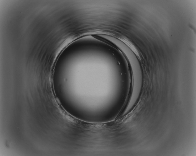 X0000091180813200709060952